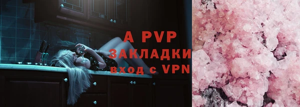 стафф Алексин