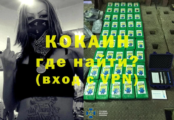 стафф Алексин