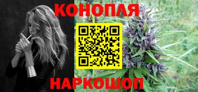 гидра Будённовск